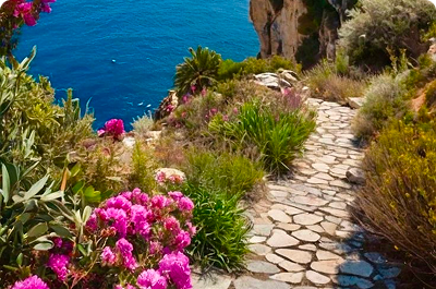 دليل المسافر لأول مرة: نصائح لضمان رحلة مريحة