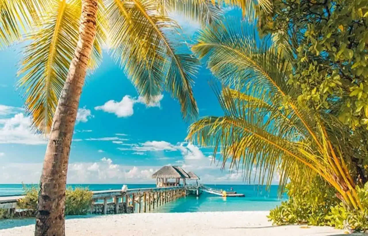 عرض 10 ايام سيشل مميز