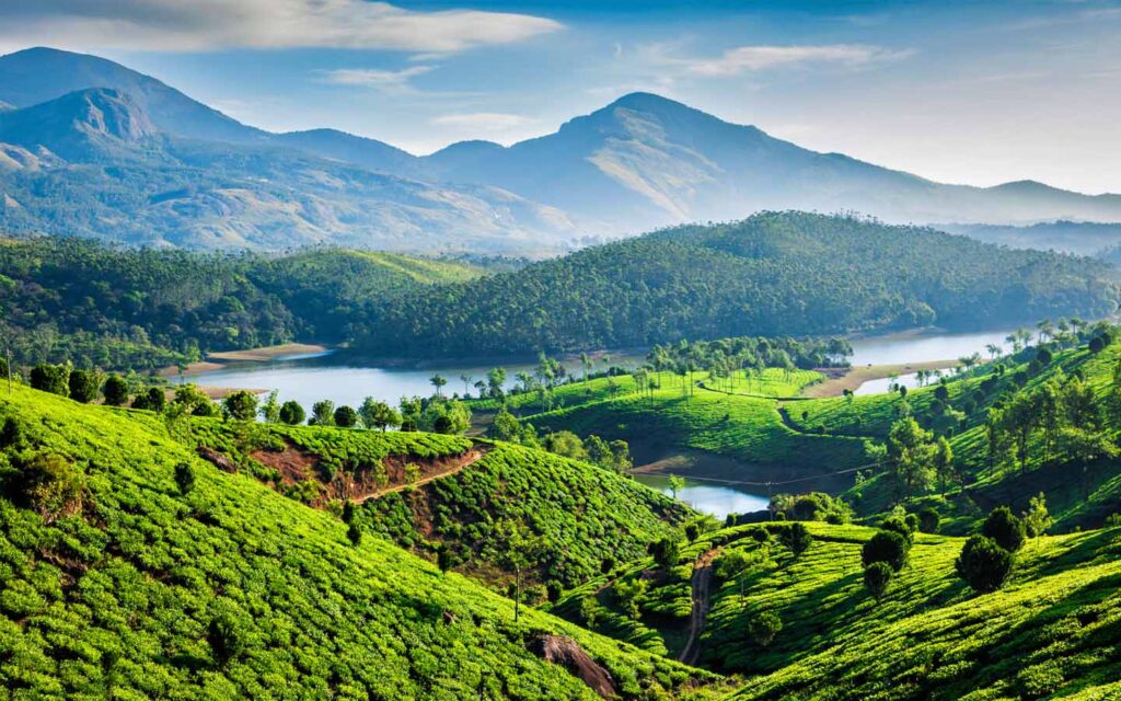 عرض الهند 15 يوم