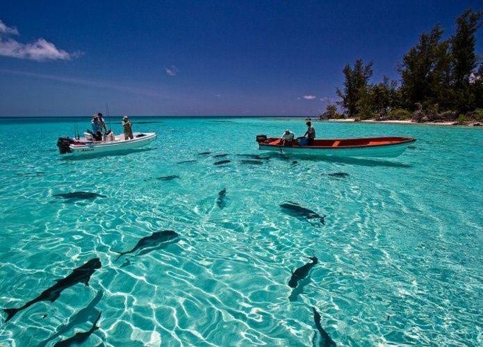 عرض سيشل 7 ايام