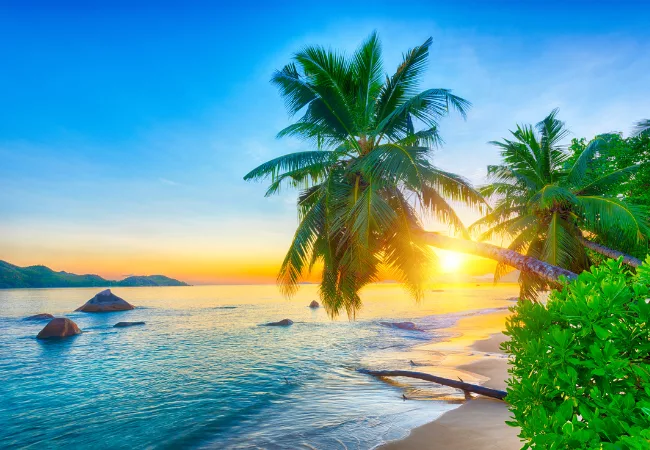 عرض سيشل 7 ايام